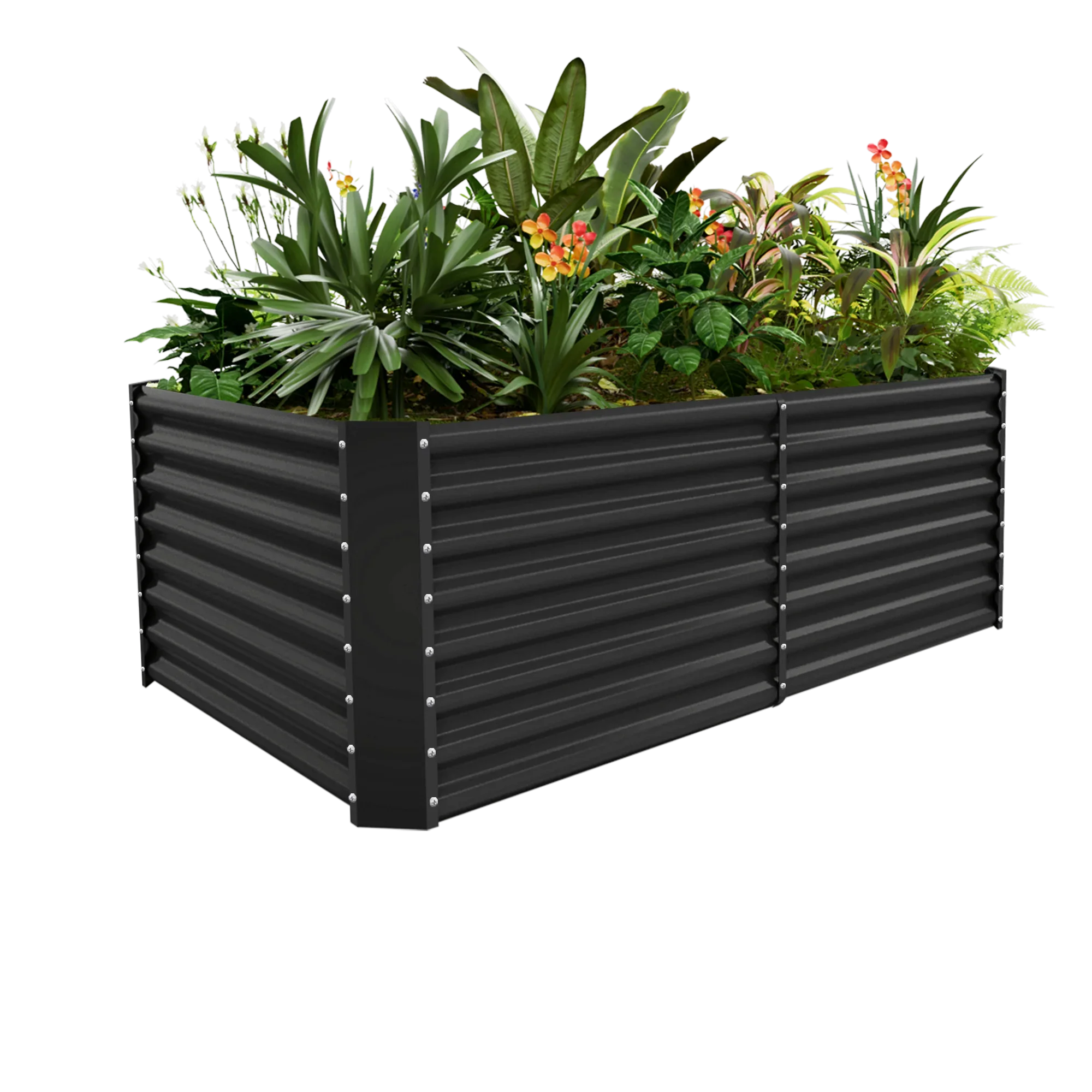 Secure Your Garden Beds with Credit Alerts